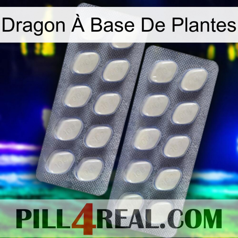 Dragon À Base De Plantes 07